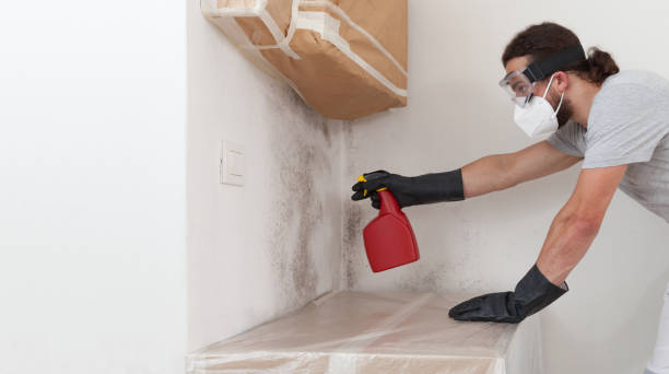Professional Bathroom Mold Removal technician working in Pequannock, NJ